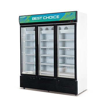 风冷立式冷冻展示柜（标准款）
